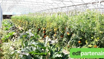 Les Jardins d'Alice et Sophie - 19460 Naves