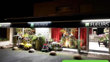 Leylandii - 33850 Léognan