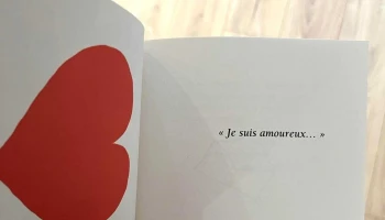 Librairie Peiro-caillaud - Saintes