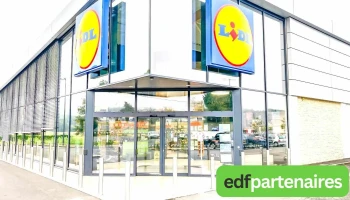 Lidl - 24260 Le Bugue