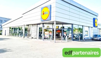 Lidl - 33650 Martillac