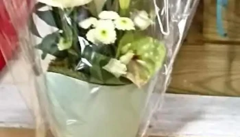 Magasin Fleurs De Lys - Chevanceaux