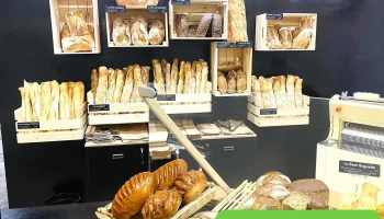 Maison Des Champs - 40210 Labouheyre