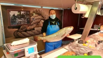 Marché de Ma Campagne - Angoulême