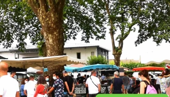 Marché de producteurs de Labenne - 40530 Labenne