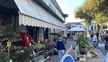 Marché Monsemprons-Libos - 47500 Monsempron-Libos
