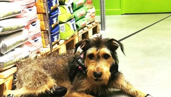 Maxi Zoo Brive-La-Gaillarde - Brive-La-Gaillarde