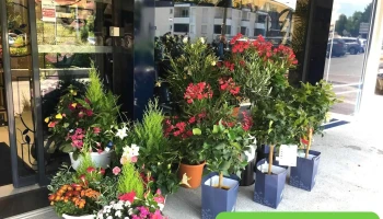 Monceau Fleurs - 33185 Le Haillan