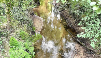 Moulin de Reguignon - 33860 Val-De-Livenne