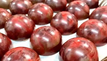 Myla Artisan Chocolatier - Châtillon-Sur-Thouet