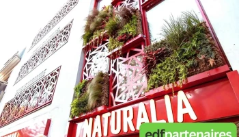 Naturalia - Angoulême
