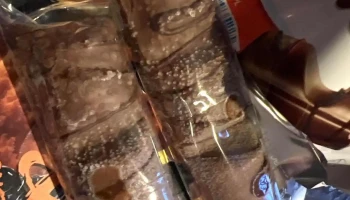 Normal Langon, Centre Moléon - Rte De Roaillan Normal Langon, Centre Moléon - Rte De Roaillan