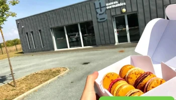 Nuances Gourmandes Macarons - 10 Rue Du Vent