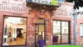 Optique de Meyssac - 19500 Meyssac