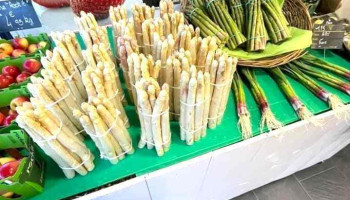 Pecher Gourmand - Andernos-Les-Bains