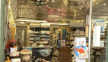 Pharmacie Lagacherie - Damazan