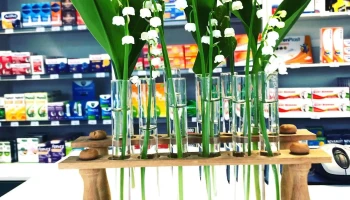 Pharmacie Nouvelle - 86550 Mignaloux-Beauvoir Pharmacie Nouvelle - 86550 Mignaloux-Beauvoir