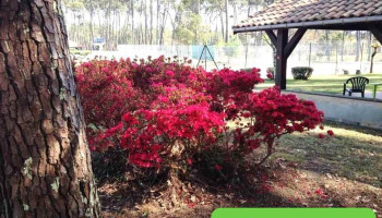 Pissos Tennis Club - 40410 Pissos Pissos Tennis Club - 40410 Pissos