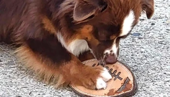 Resshy Boutique - 33710 Prignac-Et-Marcamps Resshy Boutique - 33710 Prignac-Et-Marcamps