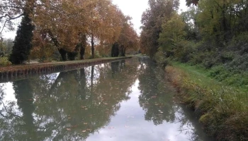 Sarl Belvi - 47200 Fourques-Sur-Garonne