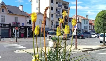 Sarraillé Boulangerie Patisserie - 64110 Jurançon