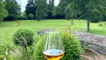 Sve Distillerie de Chevanceaux - Saint-Palais-De-Négrignac