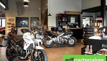 Triumph Melle - 79500 Melle