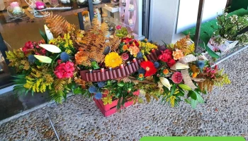 Un Jour, Une Fleur. - 32 Rte De Tarbes