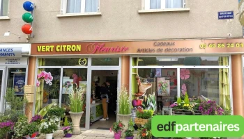 Vert citron - 86270 La Roche-Posay