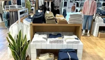 Vib's (Cache Cache - Bonobo - Bréal) - 64400 Oloron-Sainte-Marie