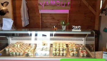 Yamou - Amou