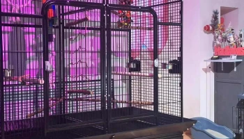 Zoomalia Châtellerault 86 | Animalerie - Châtellerault
