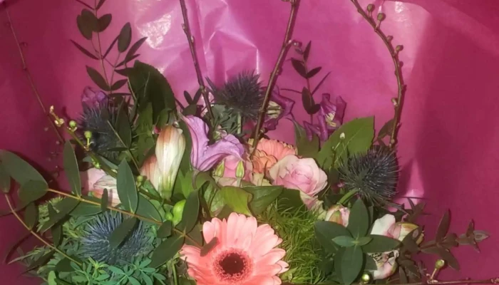 A Fleur De Pot Angouleme Fleuriste - Angoulême