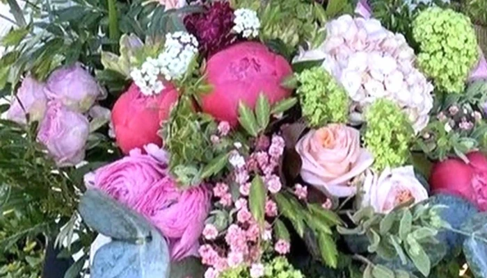 A Fleur De Pot Angouleme Horaire - Angoulême