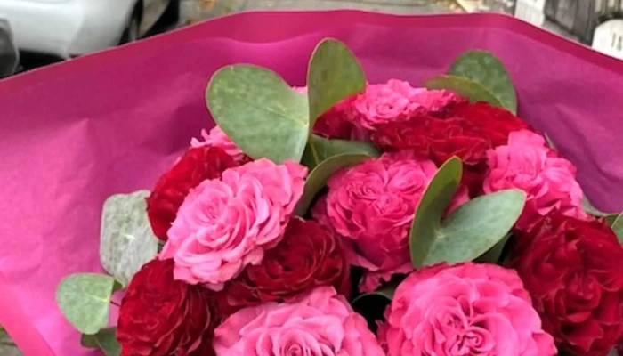 A Fleur De Pot Angouleme Prix - Angoulême