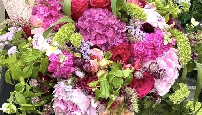 A Fleur De Pot Angouleme Zone - Angoulême