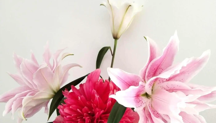 Adamseve Artisan Fleuriste Fleuriste - Ascain