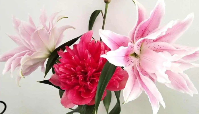 Adamseve Artisan Fleuriste Les Plus Recentes - Ascain