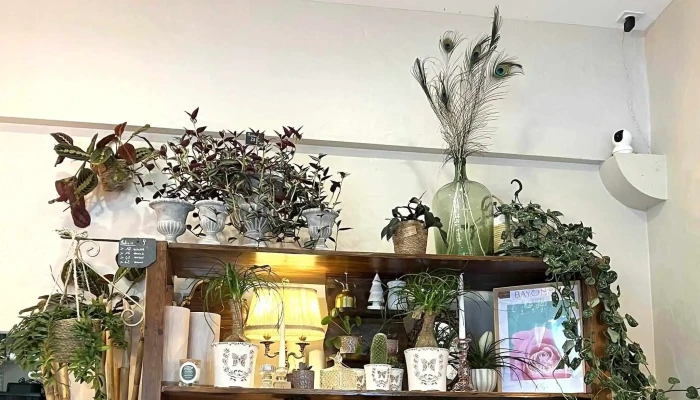 Adamseve Artisan Fleuriste Zone - Ascain