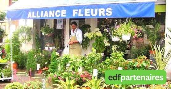 Alliance Fleurs -  Photos Du Proprietaire - Castelnau-de-médoc