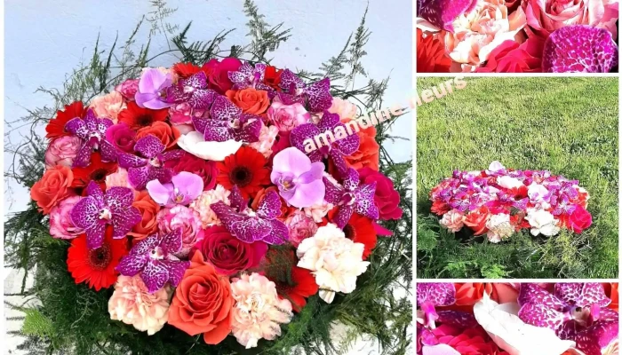 Amandine Fleurs -  Photos Du Proprietaire - Artix