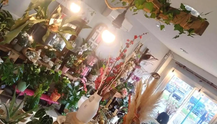 Ambiance Florale - 40210 Labouheyre