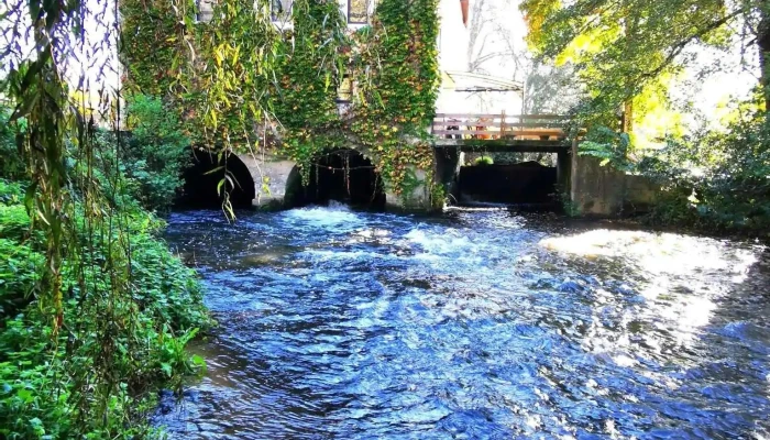 Annesse -  Et Beaulieu Tout - Annesse-et-beaulieu