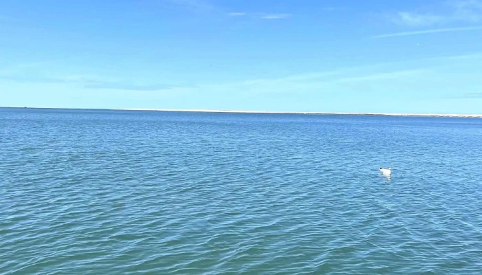 Arcachon Nautic -    Les Chantiers Navals Du Bassin Darcachon   Vente Locations Bateaux Neufsoccasions Arcachon - Arcachon
