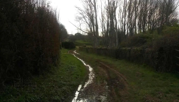 Ardin -  Tout - Ardin