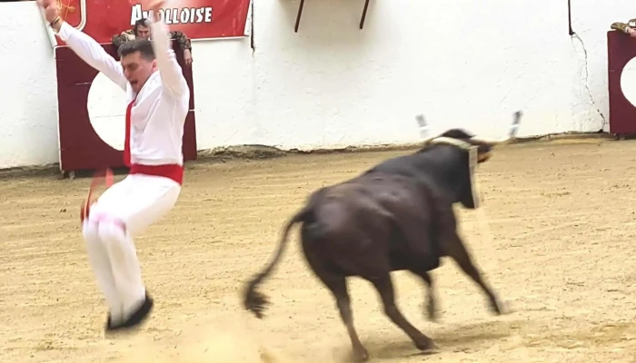 Arenes Jean Lafittau Ouvert Maintenant - Amou