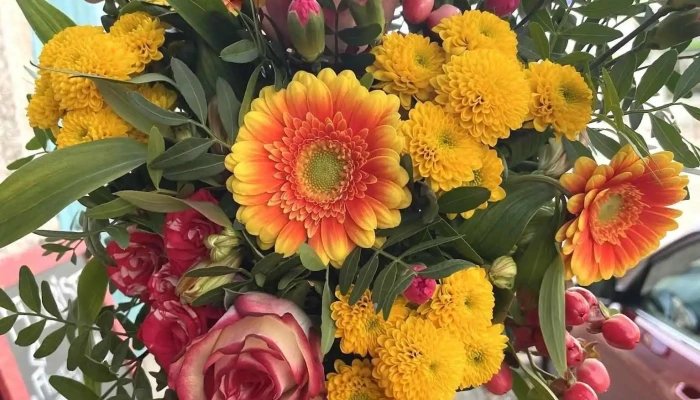 Art Et Fleurs -  Tout - Aigre
