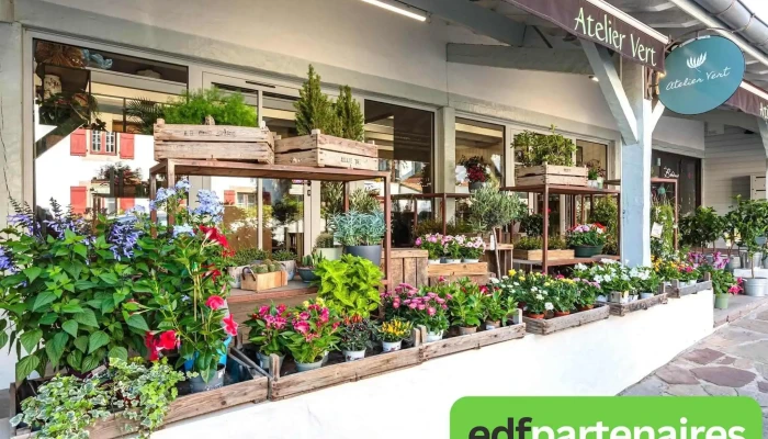 Atelier Vert -  Jardin - Ascain