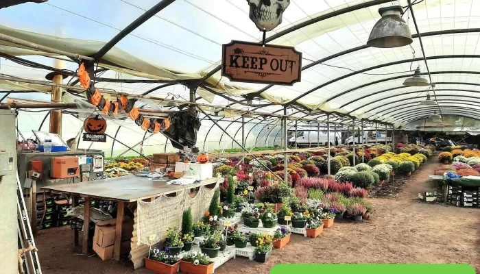 Au Rythme Des Saisons Rapnouil Stephane Tout - Antonne-et-trigonant
