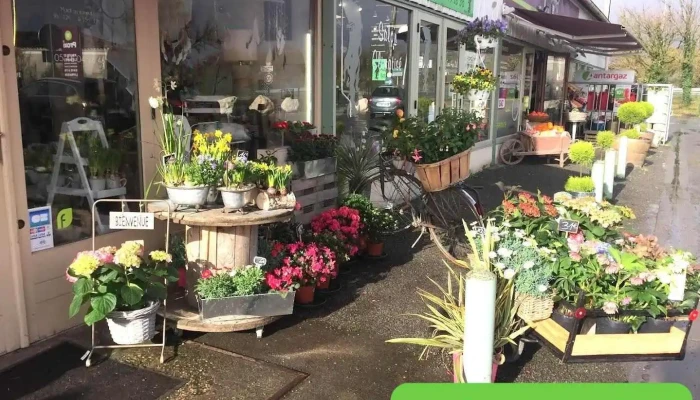 Aux Couleurs Petales - Montlieu-La-Garde